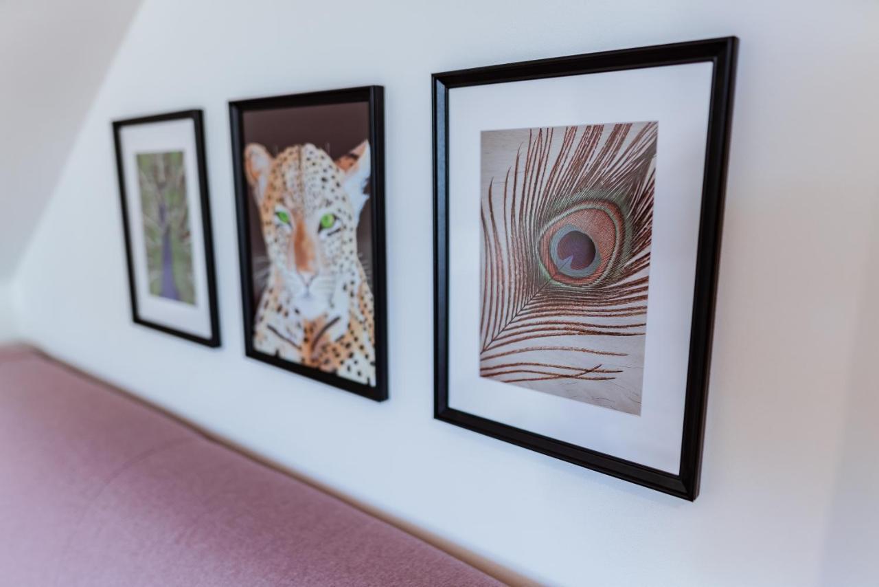 Apartmany Jablonecek ヤブロネツ・ナト・イゼロウ エクステリア 写真